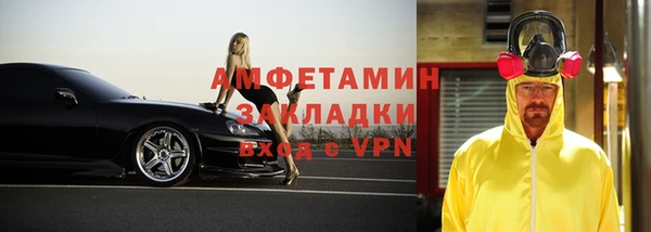 шишки Заволжск