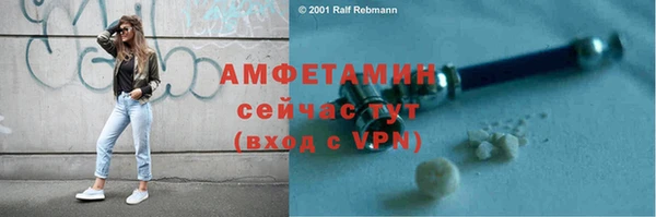 шишки Заволжск