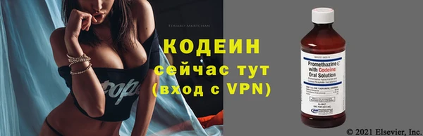 шишки Заволжск