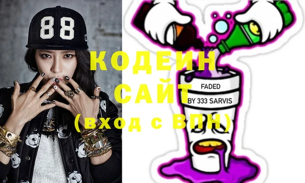 шишки Заволжск