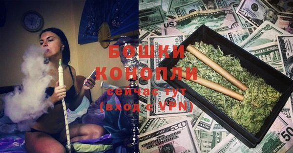 шишки Заволжск