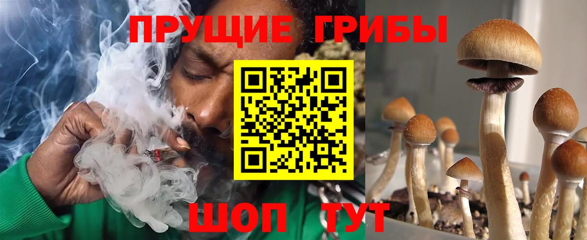 Канаш  Псилоцибиновые грибы ЛСД  Вход с VPN 