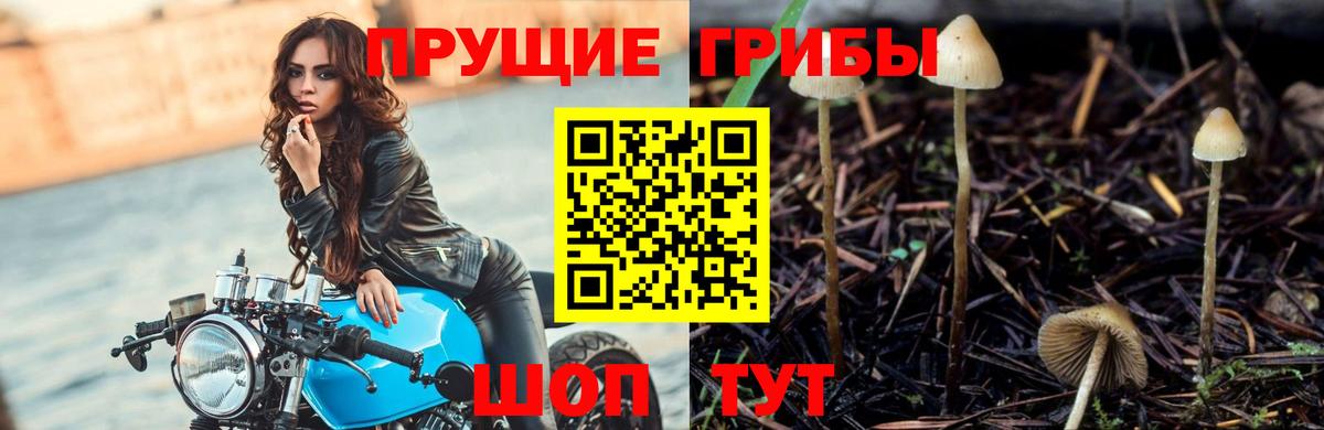 Галлюциногенные грибы ЛСД Канаш